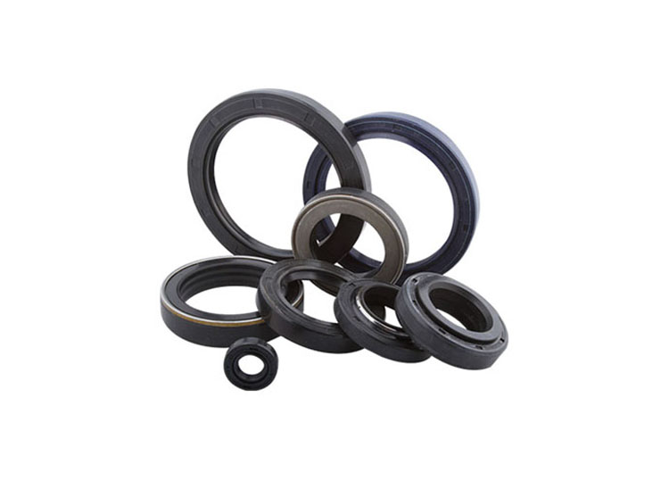 Corrosion-resistant rubber skeleton oil seal